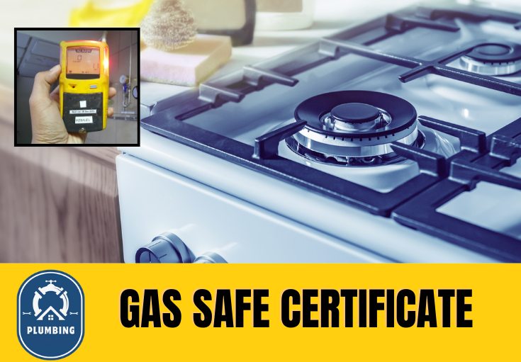 gas safe certificate Ditton 