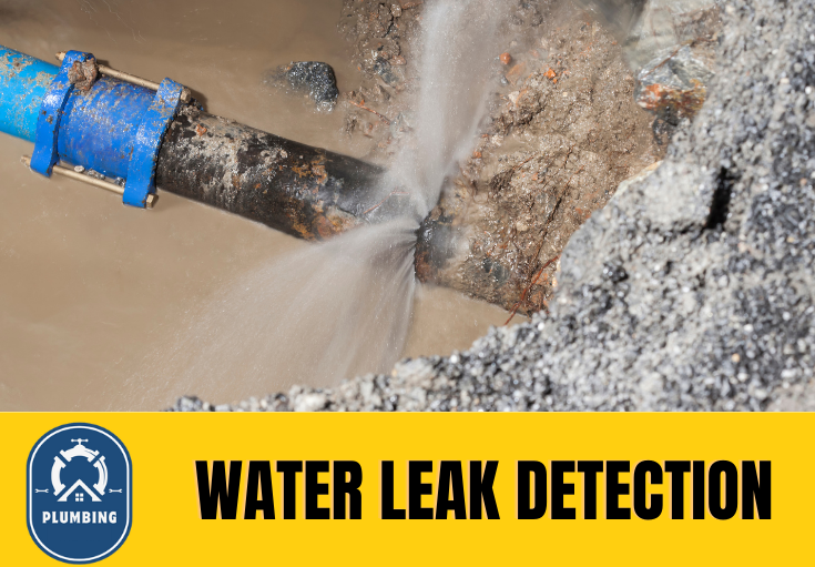 leak detection Ditton 